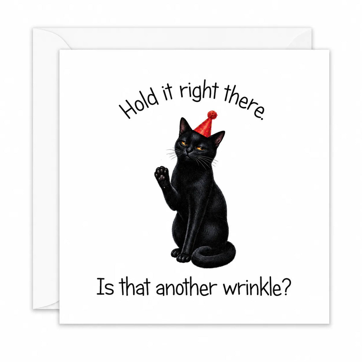 Funny Black Cat Birthday Card Hold it right there. Is that another Wrinkle?